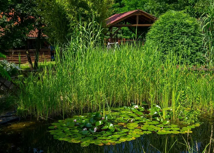 Mihaly Kulcsos Vendeghaz Tatil Evi *