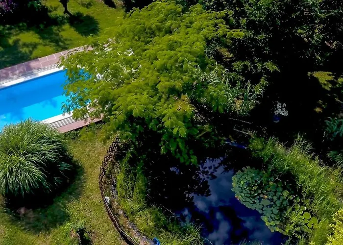 Mihaly Kulcsos Vendeghaz Őriszentpéter